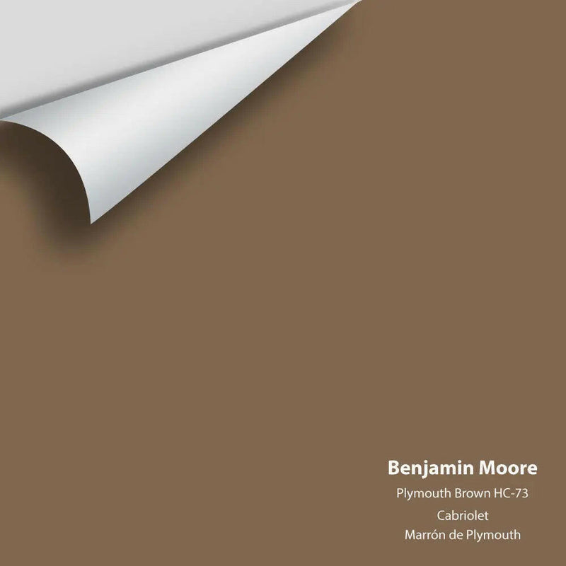 Big Paint Chip - Plymouth Brown HC-73 Colour Sample