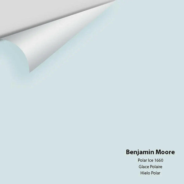 Big Paint Chip - Polar Ice 1660