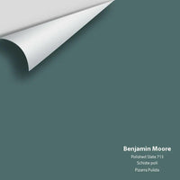 Big Paint Chip - Polished Slate 713