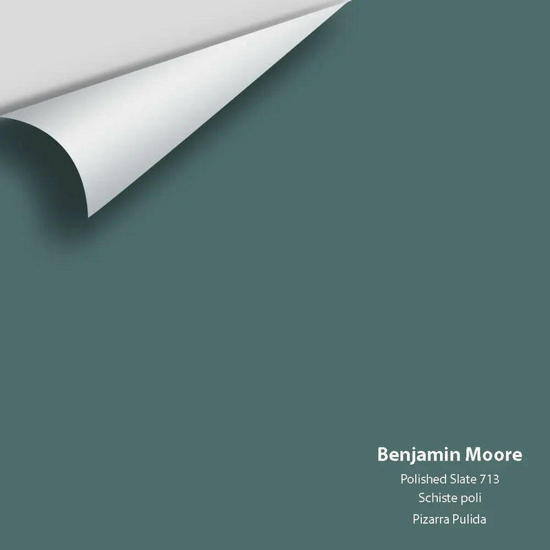 Big Paint Chip - Polished Slate 713