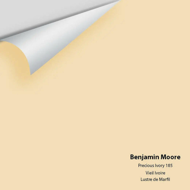 Benjamin Moore - Precious Ivory 185 Colour Sample