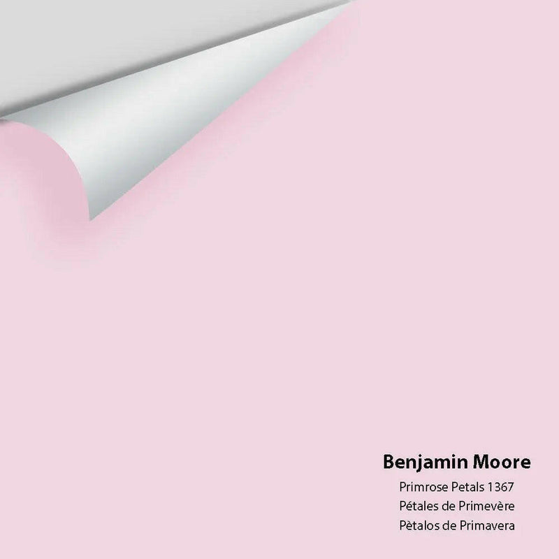 Big Paint Chip - Primrose Petals 1367 - Colour Squared Inc.