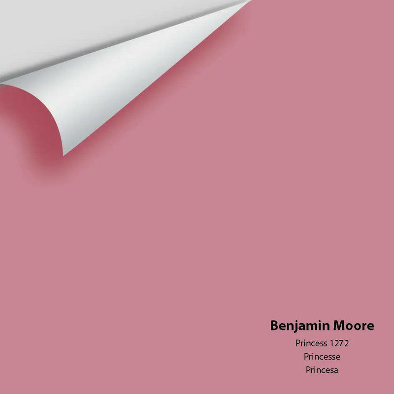 Big Paint Chip - Princess 1272