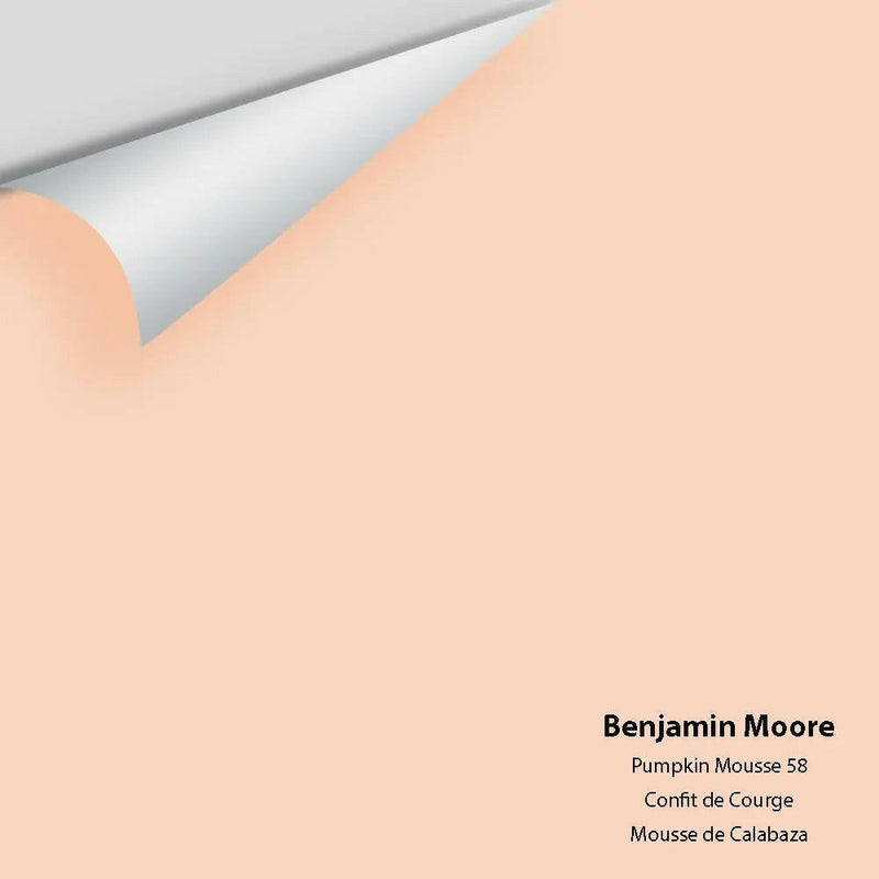 Big Paint Chip - Pumpkin Mousse 58