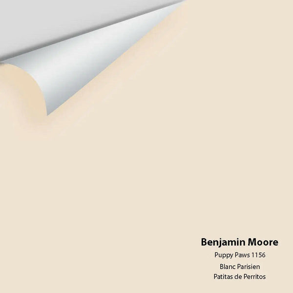 Benjamin Moore - Puppy Paws 1156 Colour Sample