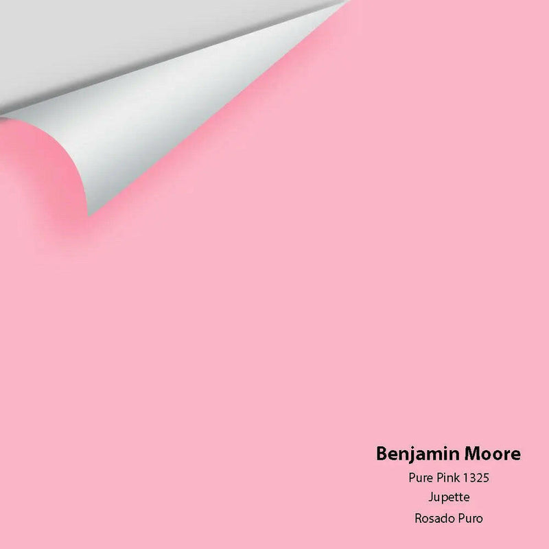 Big Paint Chip - Pure Pink 1325