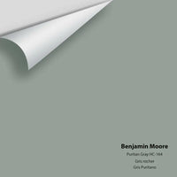 Big Paint Chip - Puritan Gray HC-164 Colour Sample