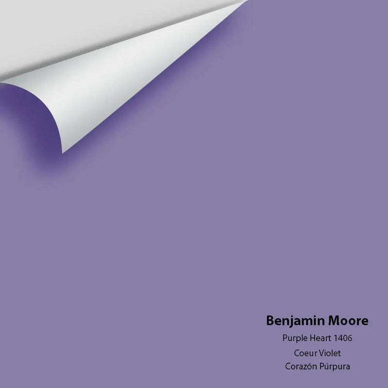 Big Paint Chip - Purple Heart 1406 - Colour Squared Inc.