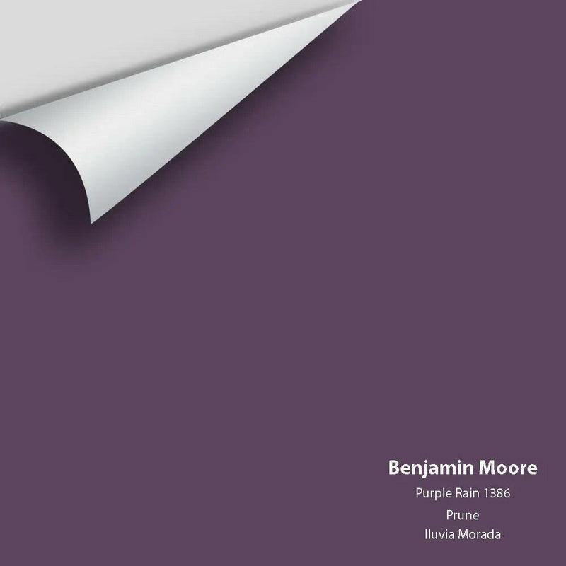 Big Paint Chip - Purple Rain 1386 - Colour Squared Inc.