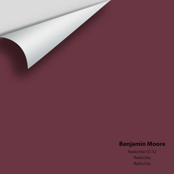 Big Paint Chip - Radicchio CC-32
