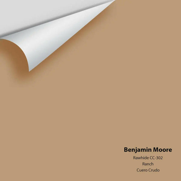 Big Paint Chip - Rawhide CC-302 Colour Sample
