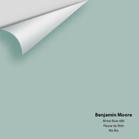 Big Paint Chip - Rhine River 689