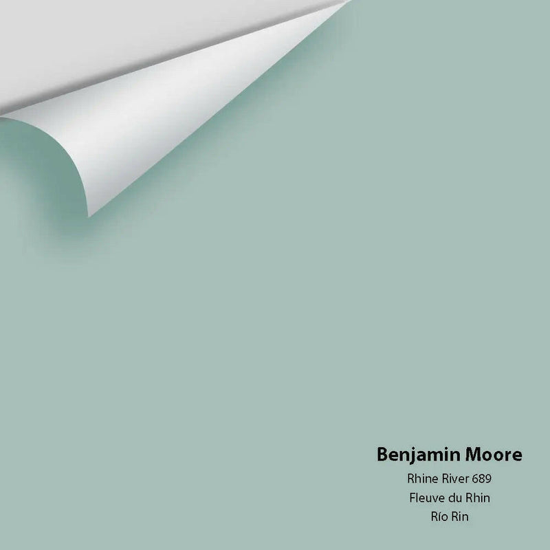 Big Paint Chip - Rhine River 689
