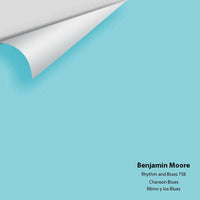 Big Paint Chip - Rhythm and Blues 758