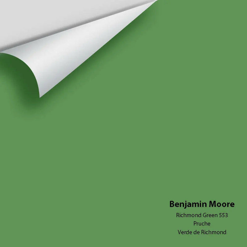 Big Paint Chip - Richmond Green 553