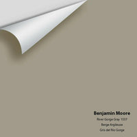 Benjamin Moore - River Gorge Gray 1537 Colour Sample - Colour Squared Inc.