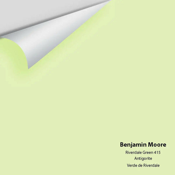 Big Paint Chip - Riverdale Green 415