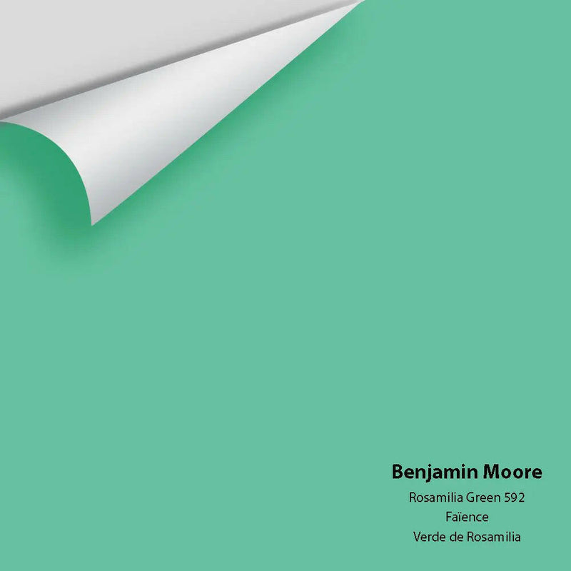 Big Paint Chip - Rosamilia Green 592