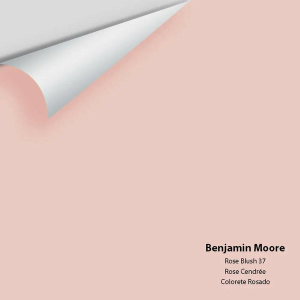 Big Paint Chip - Rose Blush 37