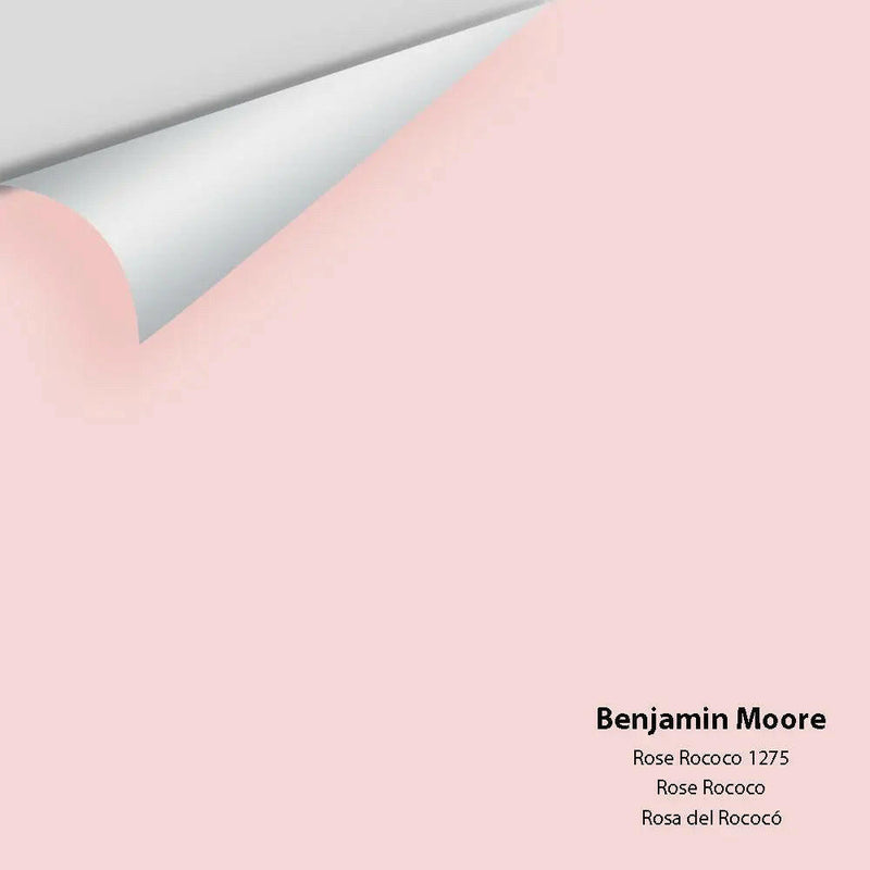 Big Paint Chip - Rose Rococo 1275