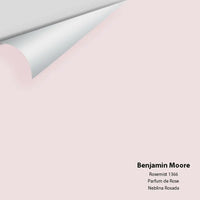 Big Paint Chip - Rosemist 1366
