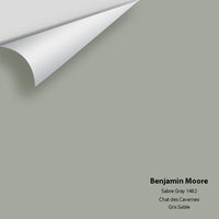 Benjamin Moore - Sabre Gray 1482 Colour Sample - Colour Squared Inc.