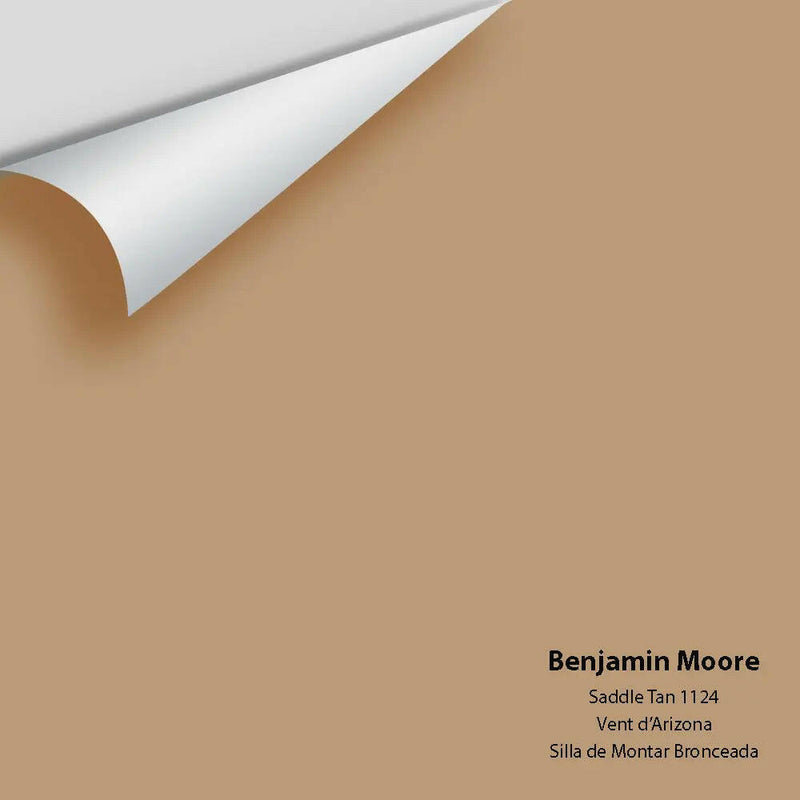 Big Paint Chip - Saddle Tan 1124