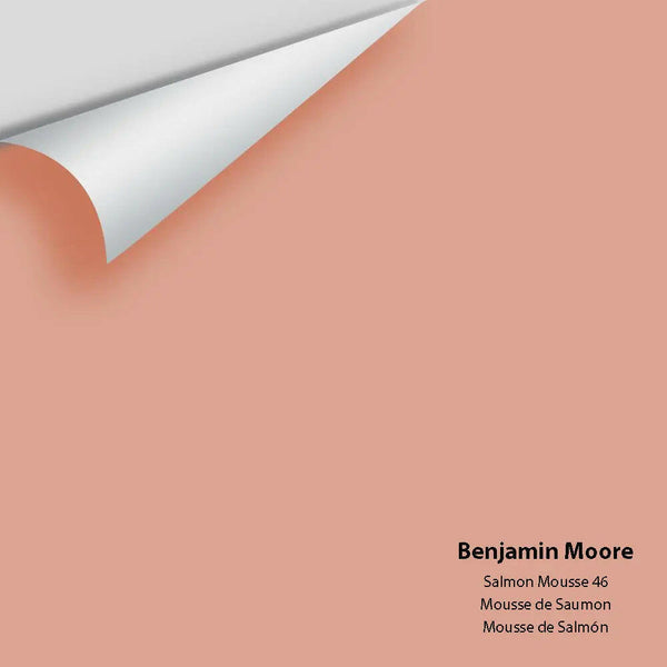Big Paint Chip - Salmon Mousse 46