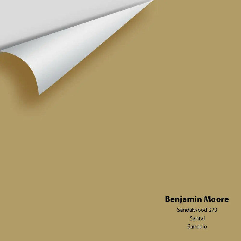Big Paint Chip - Sandalwood 273