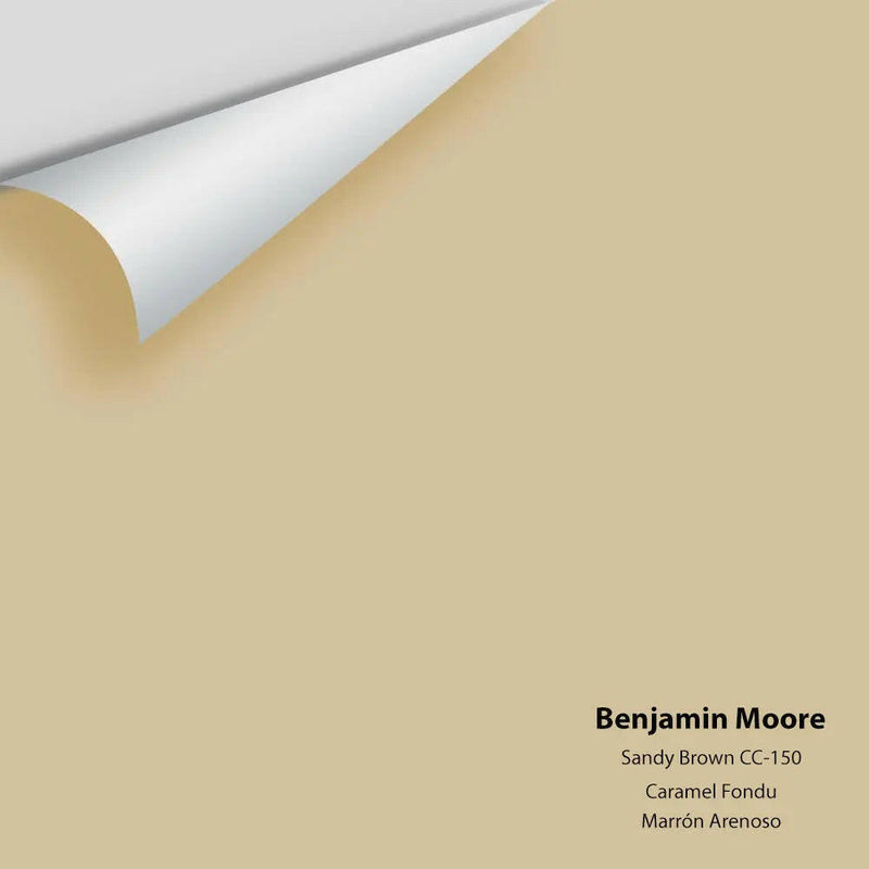 Benjamin Moore - Sandy Brown 1046 / CC-150 Colour Sample