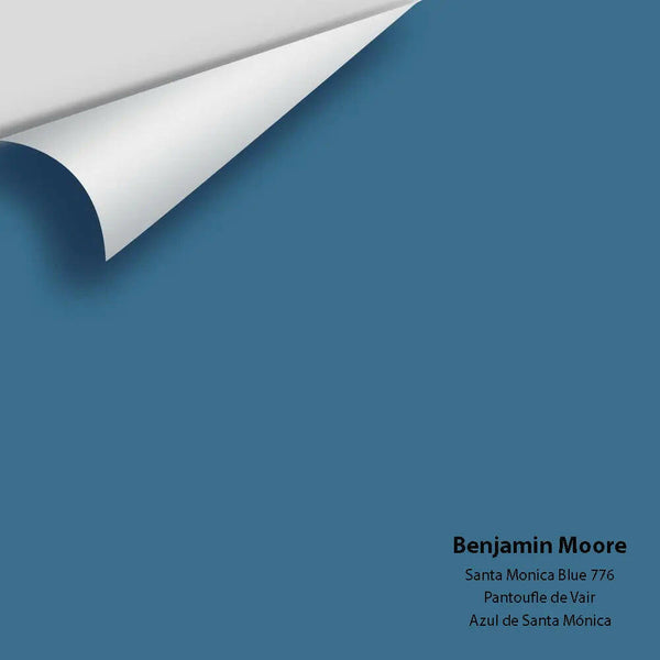 Big Paint Chip - Santa Monica Blue 776