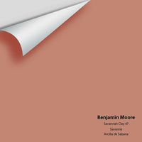 Big Paint Chip - Savannah Clay 47