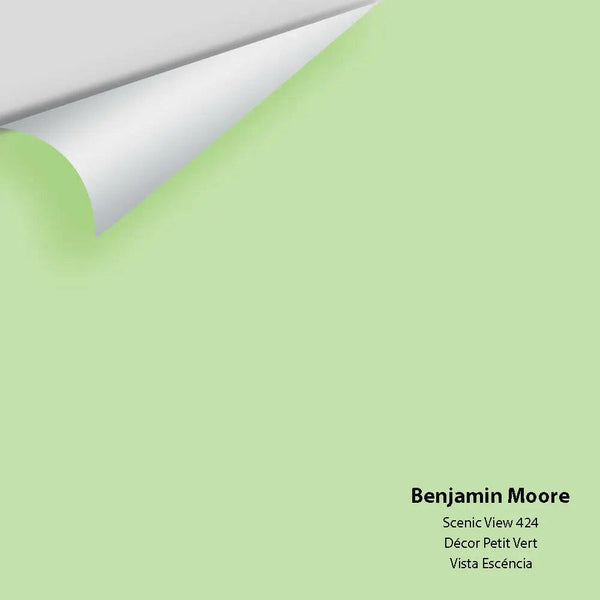 Big Paint Chip - Scenic View 424