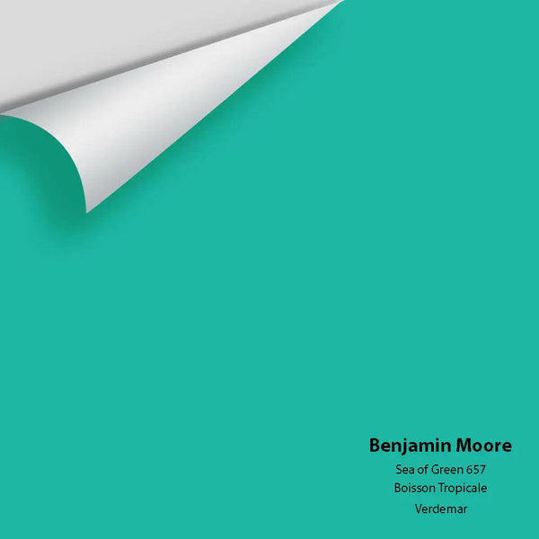 Big Paint Chip - Sea of Green 657