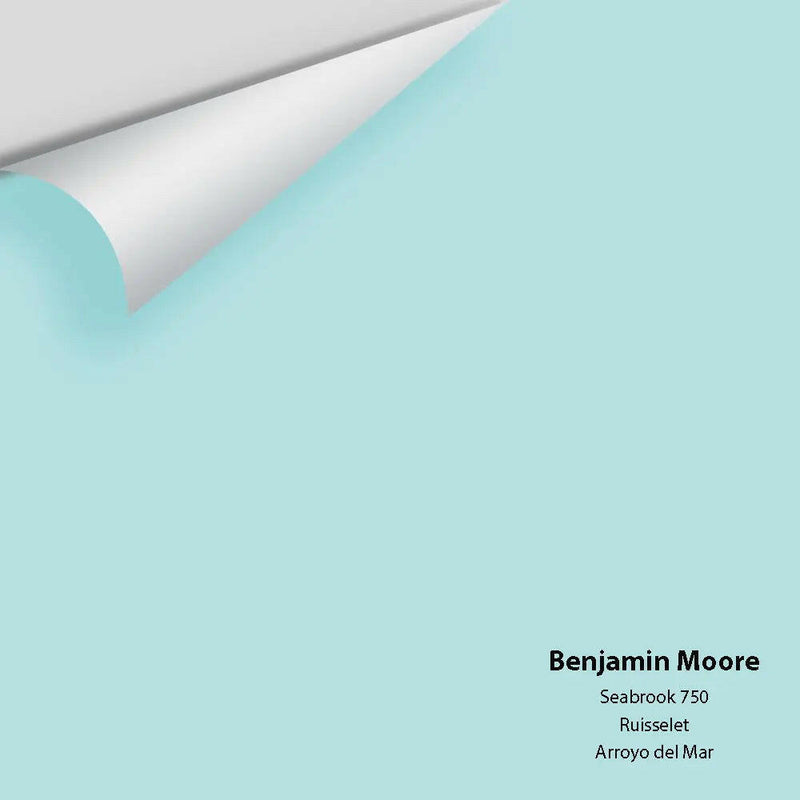 Big Paint Chip - Seabrook 750