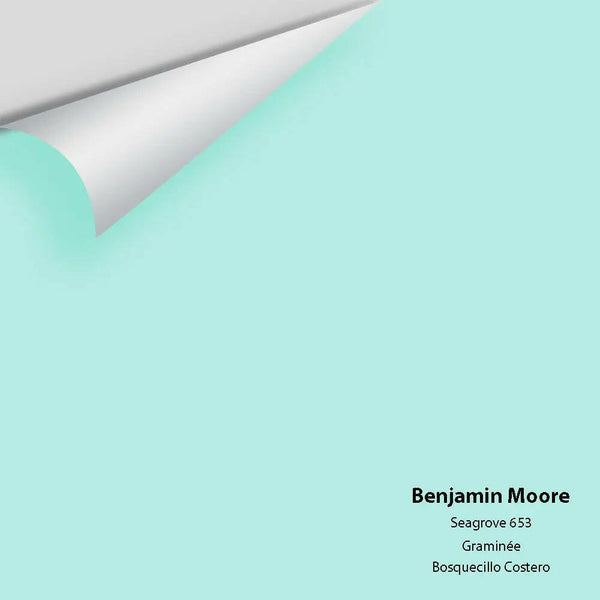 Big Paint Chip - Seagrove 653