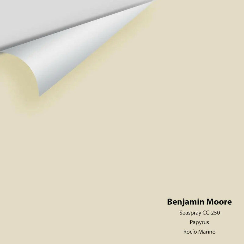 Big Paint Chip - Seaspray 941 / CC-250