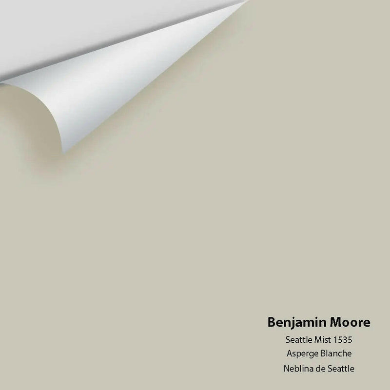 Benjamin Moore - Seattle Mist 1535 Colour Sample