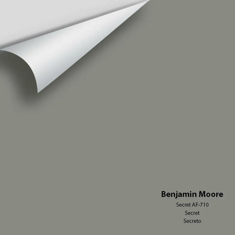 Benjamin Moore - Secret AF-710 Colour Sample