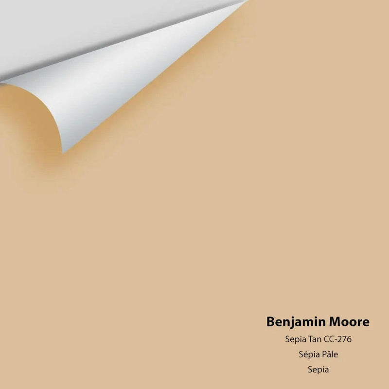 Big Paint Chip - Sepia Tan 1116 / CC-276
