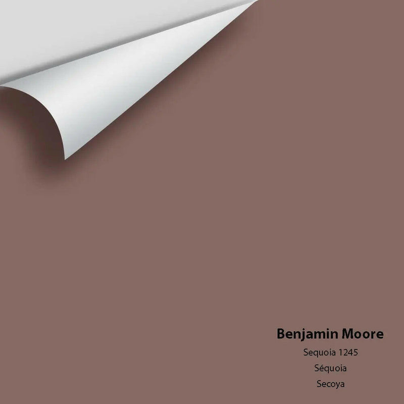 Big Paint Chip - Sequoia 1245