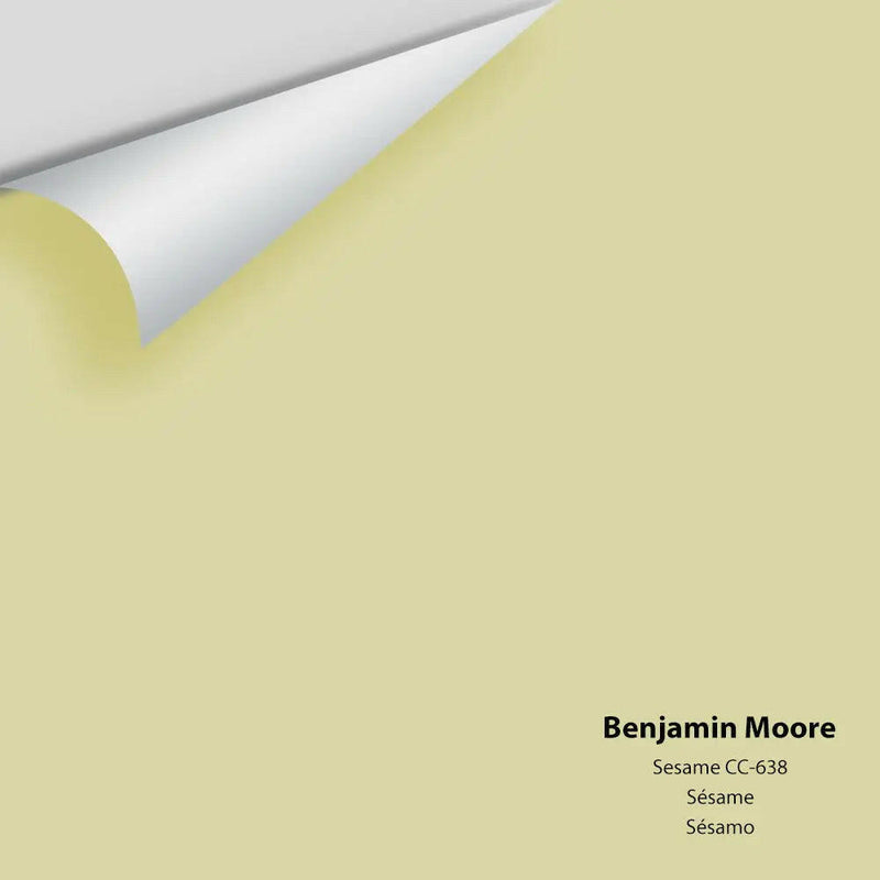 Big Paint Chip - Sesame 381 / CC-638