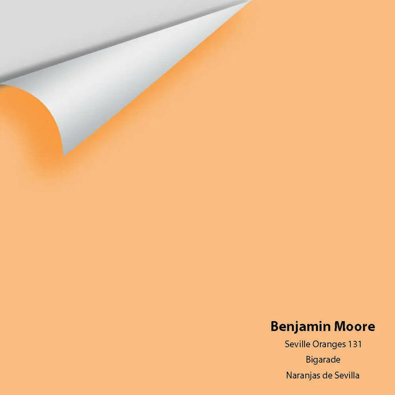 Big Paint Chip - Seville Oranges 131
