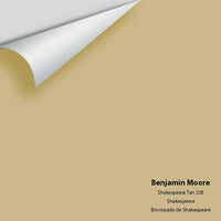 Big Paint Chip - Shakespeare Tan 228