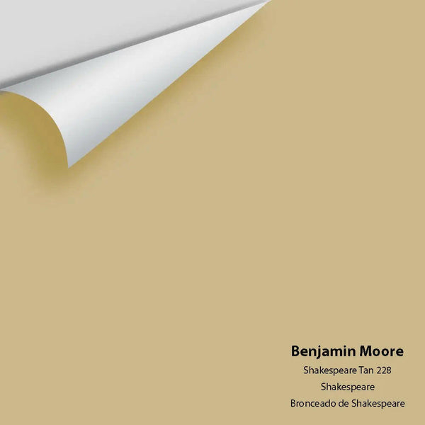 Big Paint Chip - Shakespeare Tan 228
