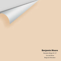 Big Paint Chip - Sheraton Beige HC-57