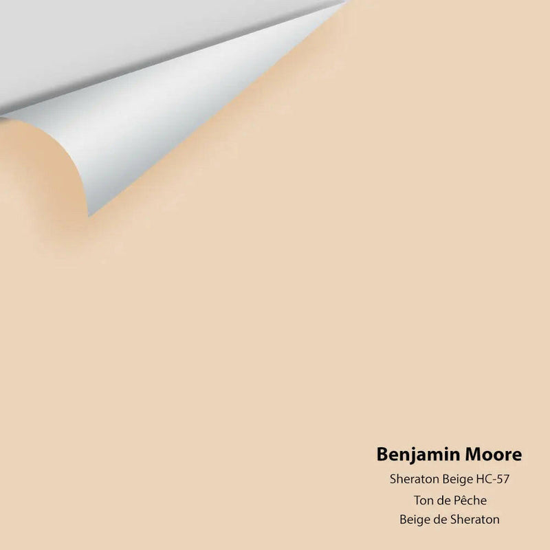 Big Paint Chip - Sheraton Beige HC-57