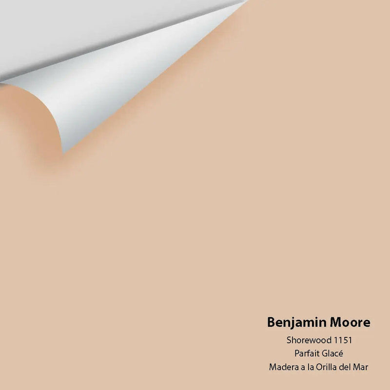 Big Paint Chip - Shorewood 1151