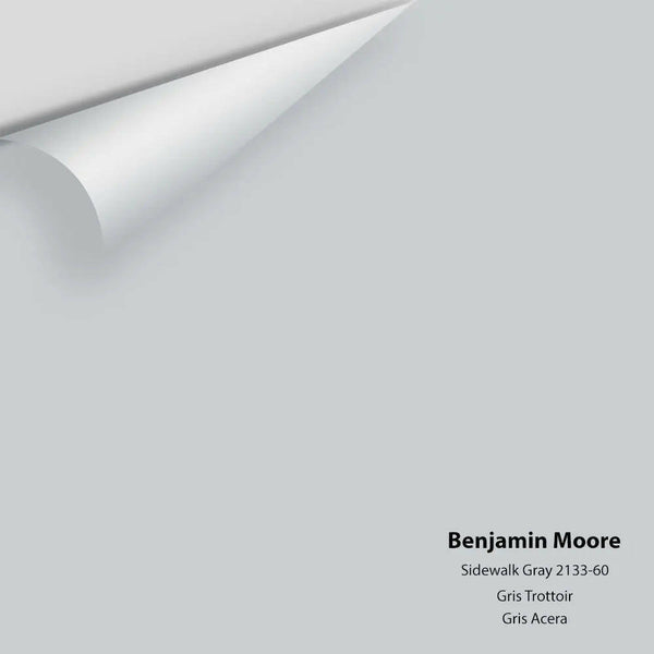 Benjamin Moore - Sidewalk Gray 2133-60 Colour Sample