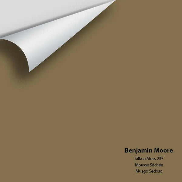 Big Paint Chip - Silken Moss 237